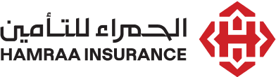 partner-3-logo